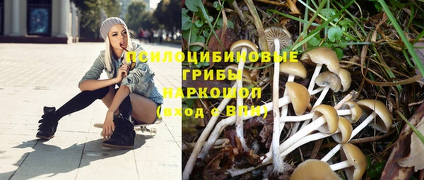 а пвп мука Арсеньев