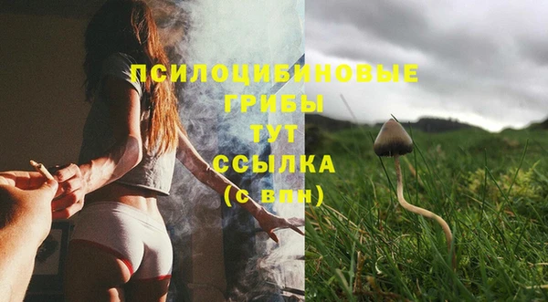 тгк Армянск