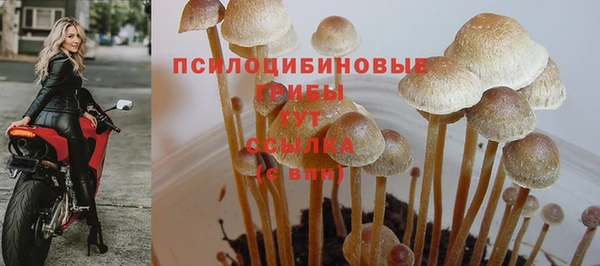 тгк Армянск