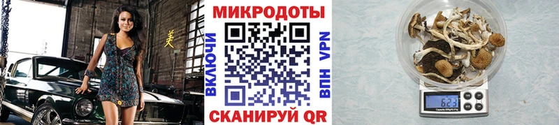 Галлюциногенные грибы MAGIC MUSHROOMS  площадка официальный сайт  Муравленко 